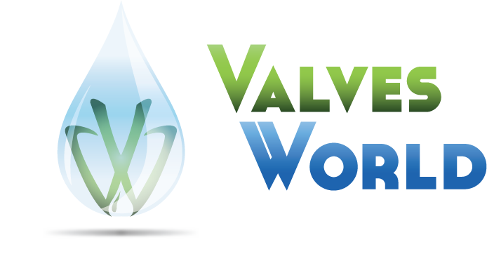 Logo officiel de Valves World SARL